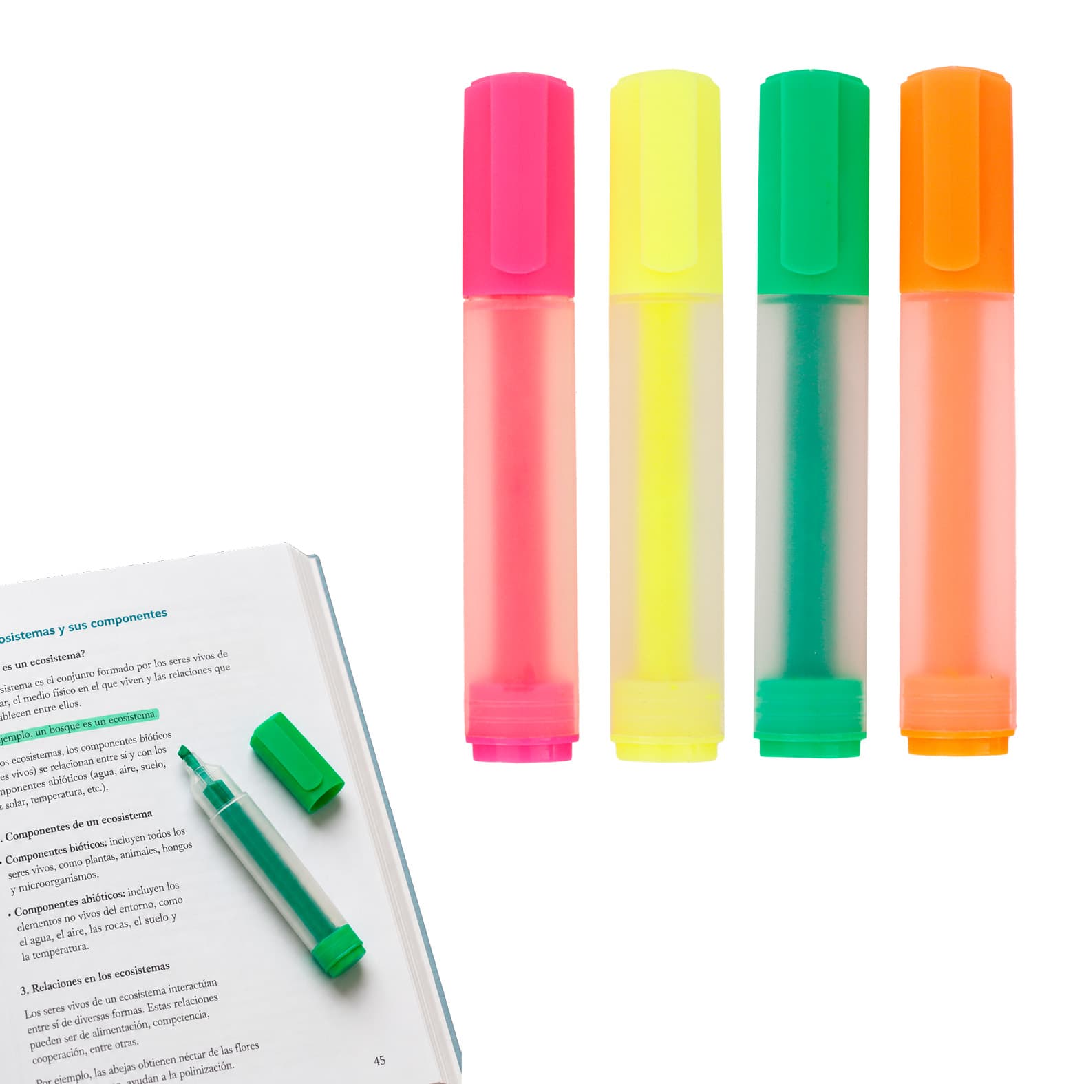 COLORI personalizable con logo